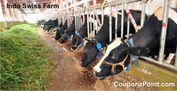 Indo Swiss Farm Munnar Tourist Places in Kerala