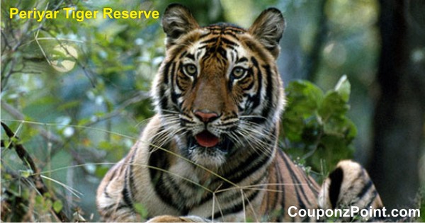 Periyar Tiger Reserve